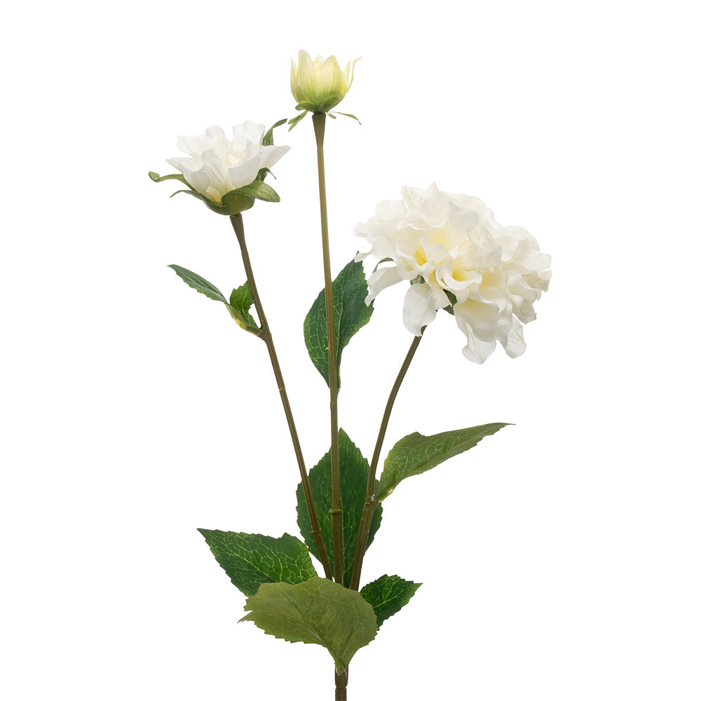 Zinnia Stem 3 Heads Cream 67CM