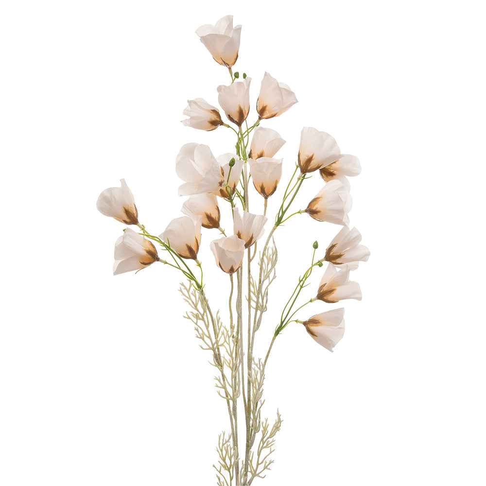 Dried Poppy Spray Cream 90cm