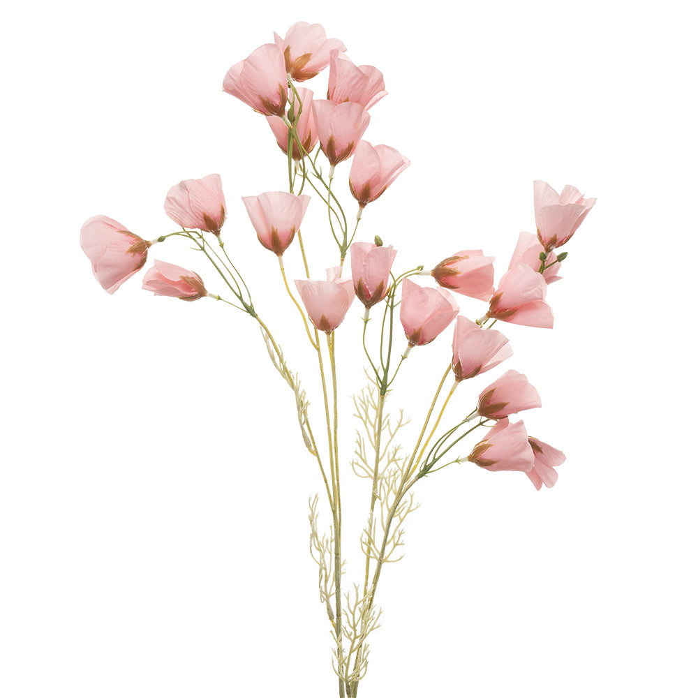 Dried Poppy Spray Pink 90cm