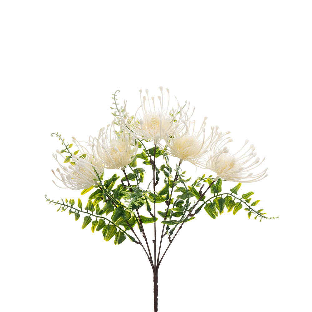 Pincushion Bush Cream 33cm