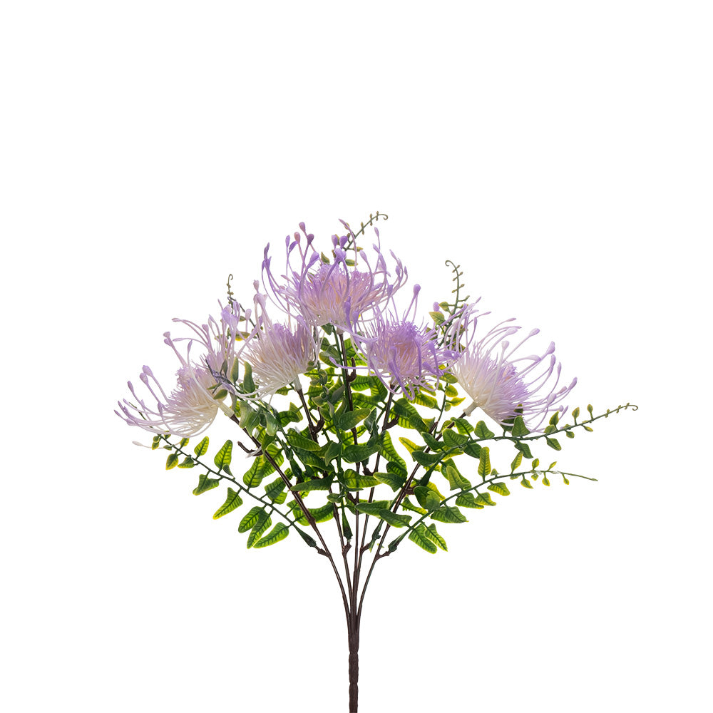Pincushion Bush Purple 33cm