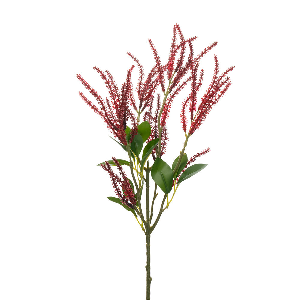 Astilbe Spray Red 62cm