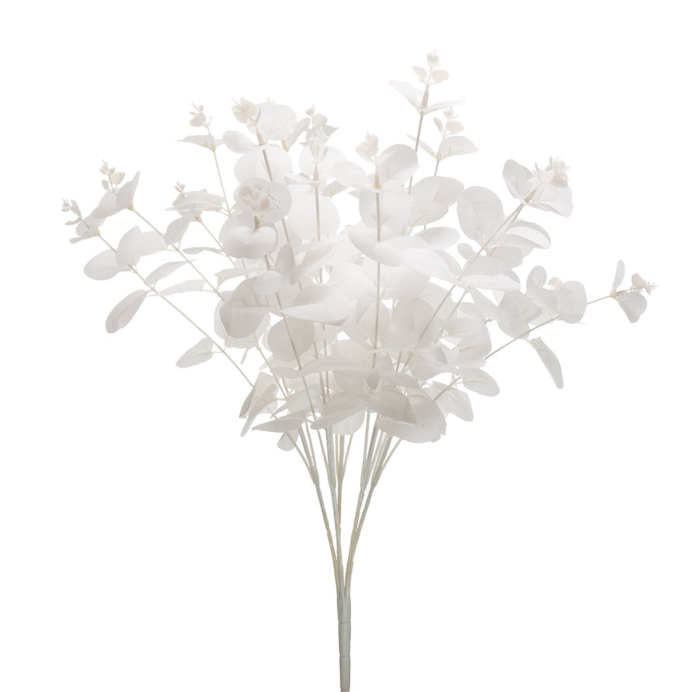 Eucalyptus Bunch White 50cm