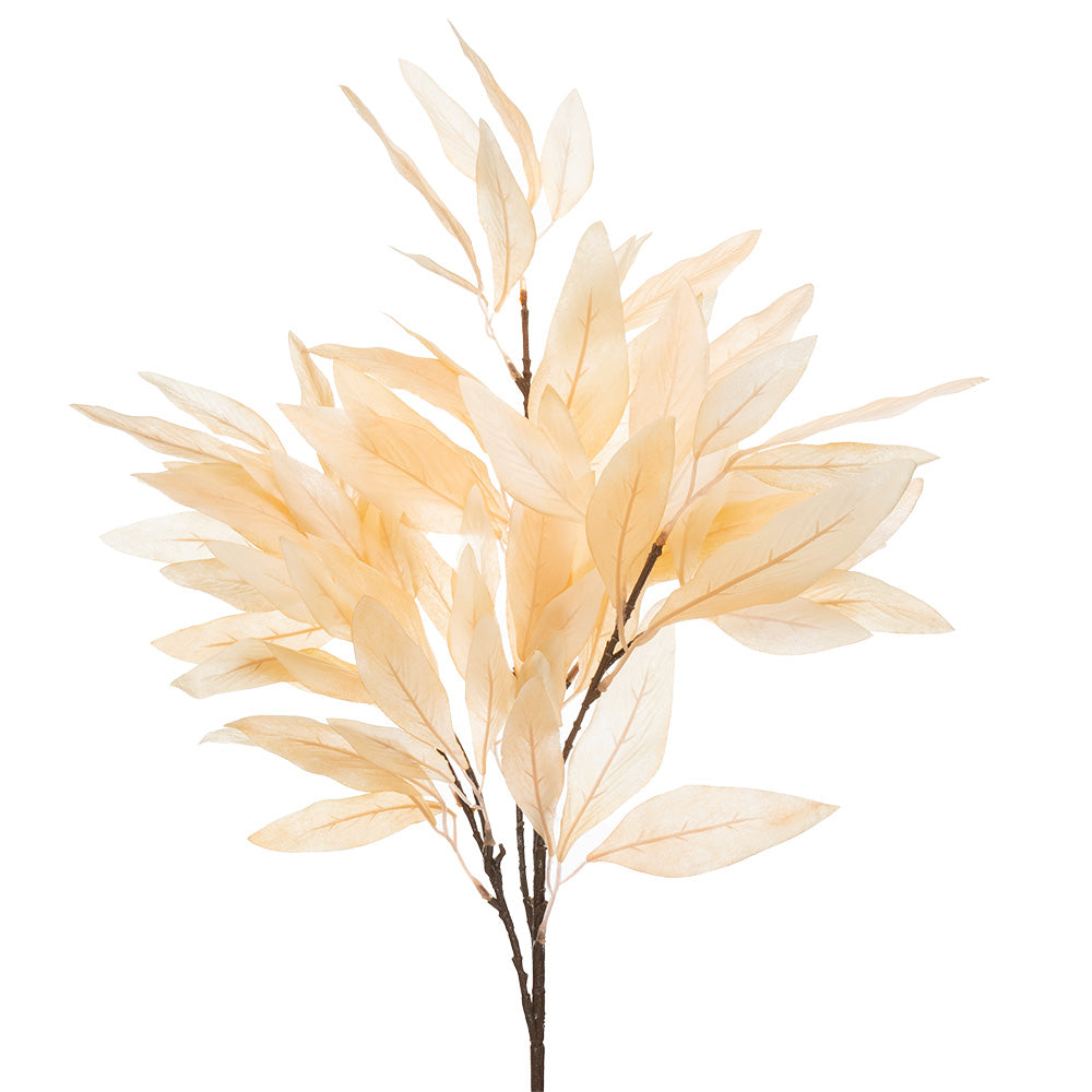 Lanceolate Leaf Bush Champagne 73cm