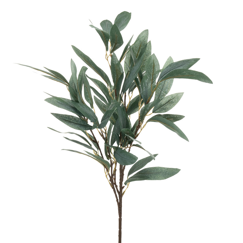 Lanceolate Leaf Bush Green 73cm