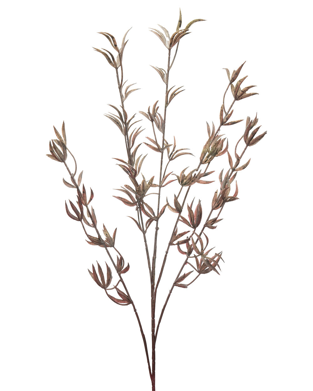 Dried Look Kangaroo Paw Green & Red 86cm
