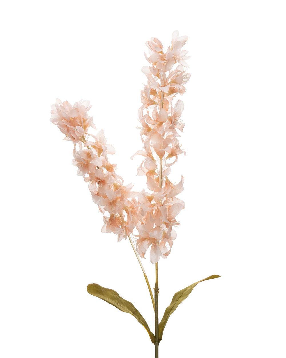 Dried Stock Stem Pink 100cm