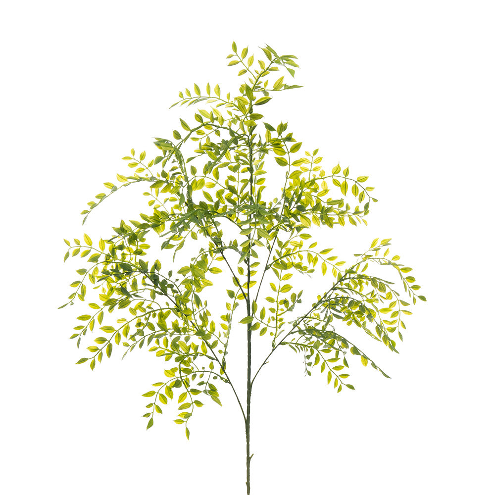 Ruscus Spray Green 105cm