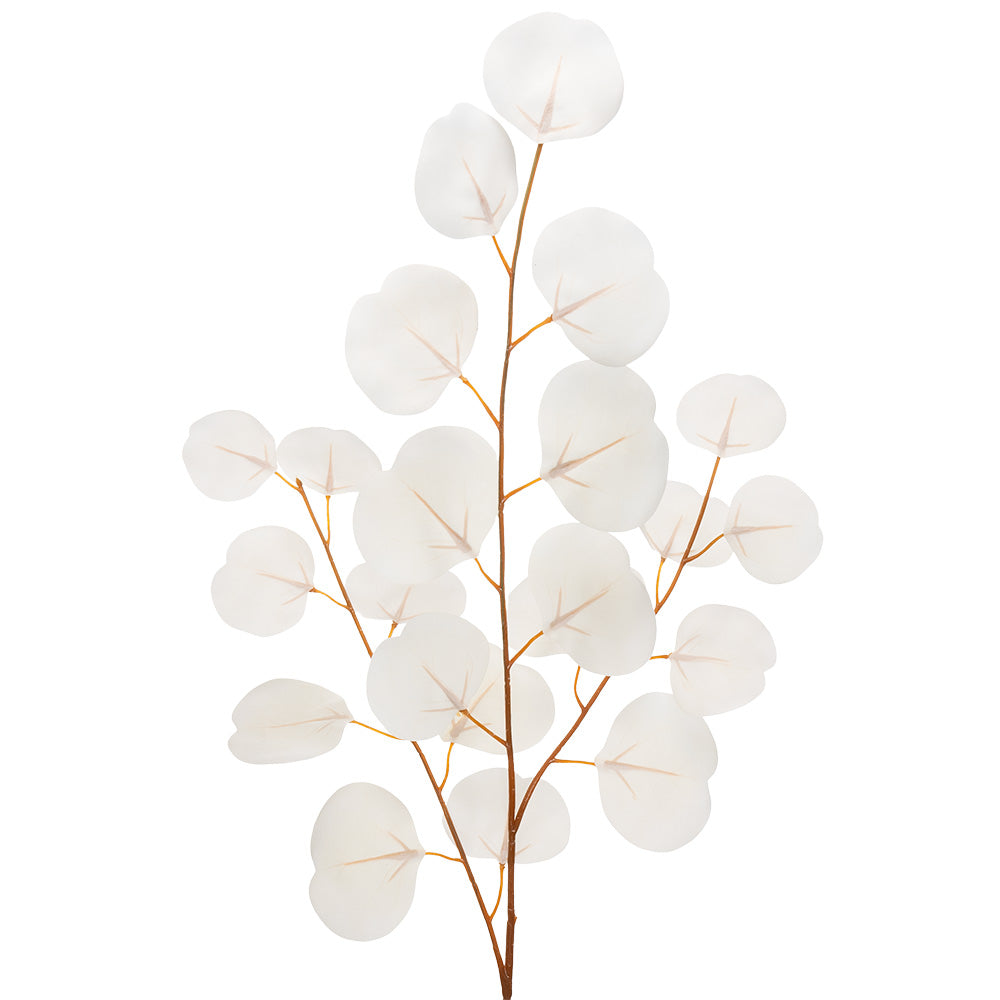 Eucalyptus Spray Cream 84cm