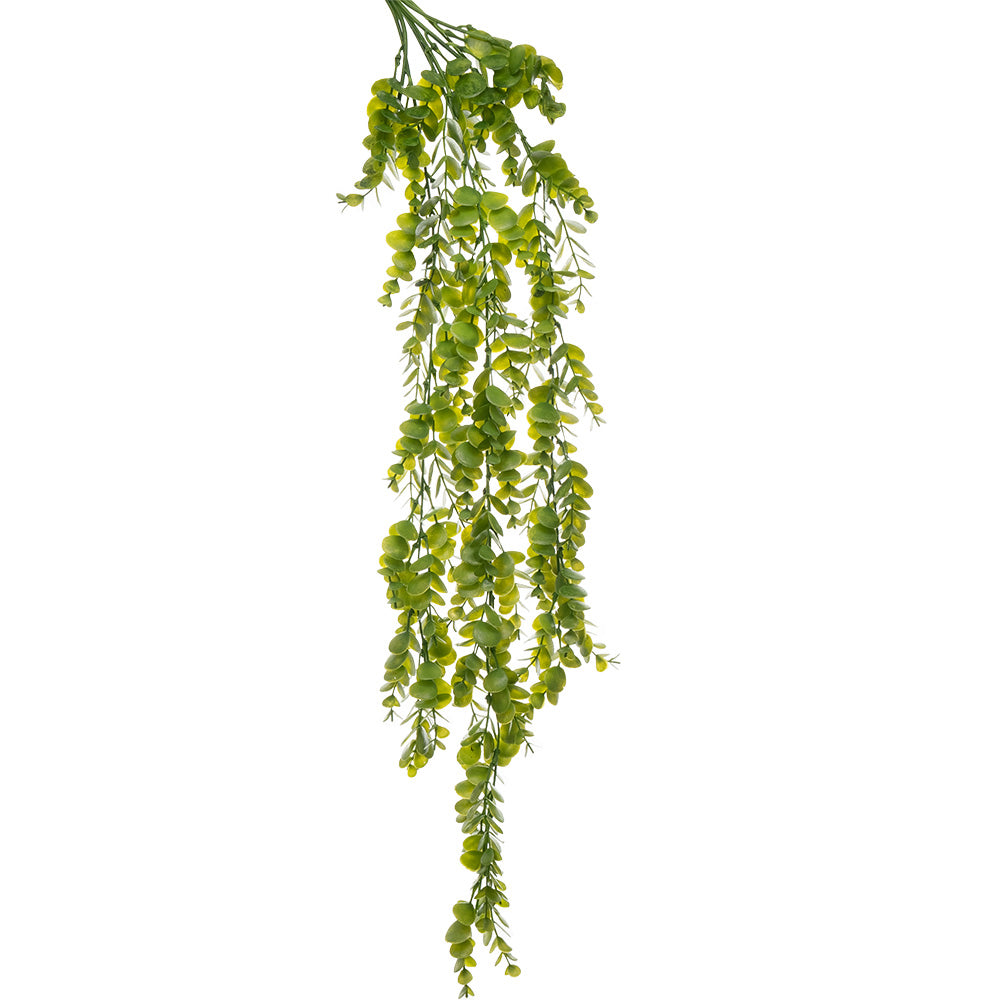 Eucalyptus Hanging Bush Green 78cm
