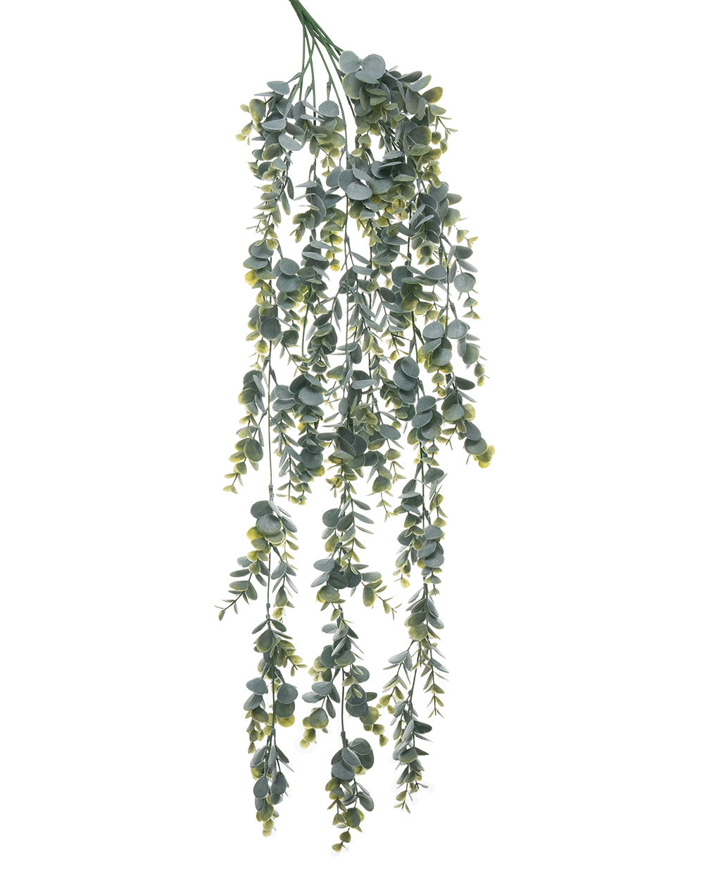 Eucalyptus Hanging Bush Green 85cm