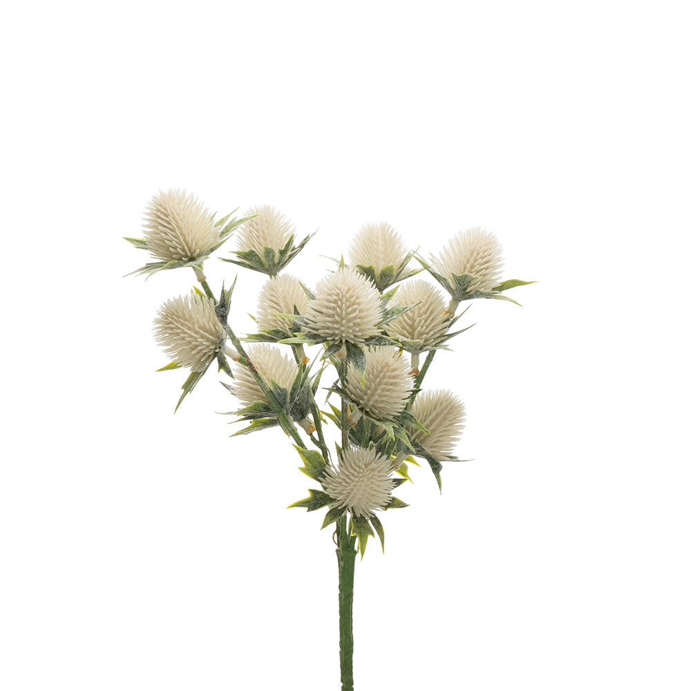 Thistle Bush Cream 33cm