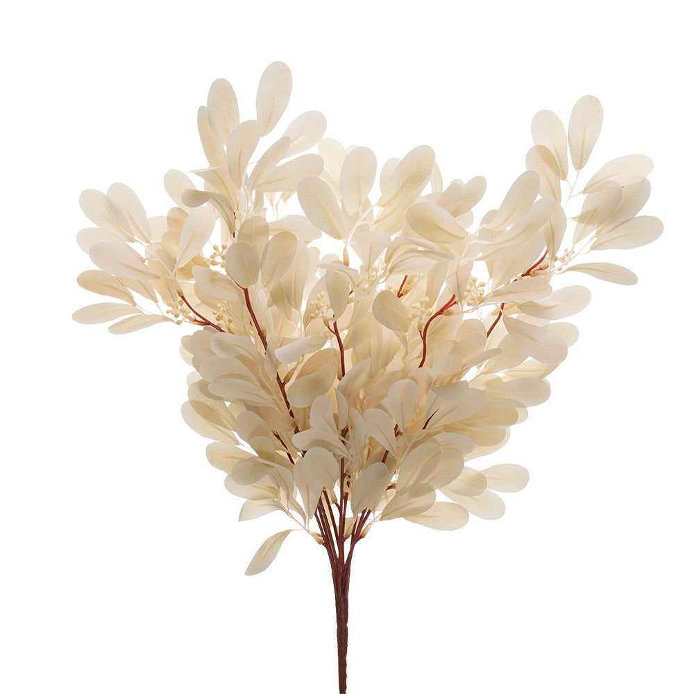 Jujube Leaf Bush Champagne 49cm