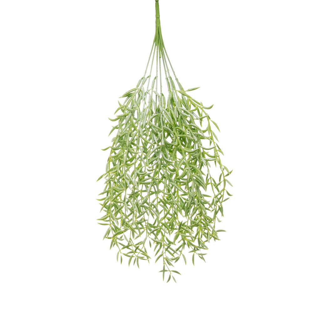 String of Banana Bush Green & White 43cm