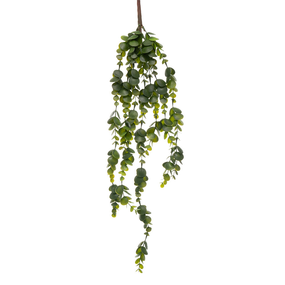 Hanging Eucalyptus Green 52CM