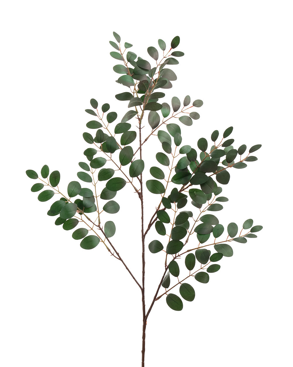 Locust Leave Spray Green & Red 84cm