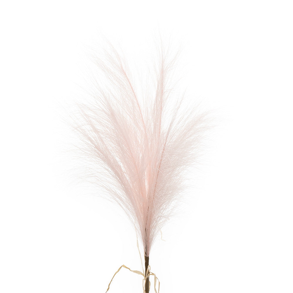 Pampas Stem Pink 80cm