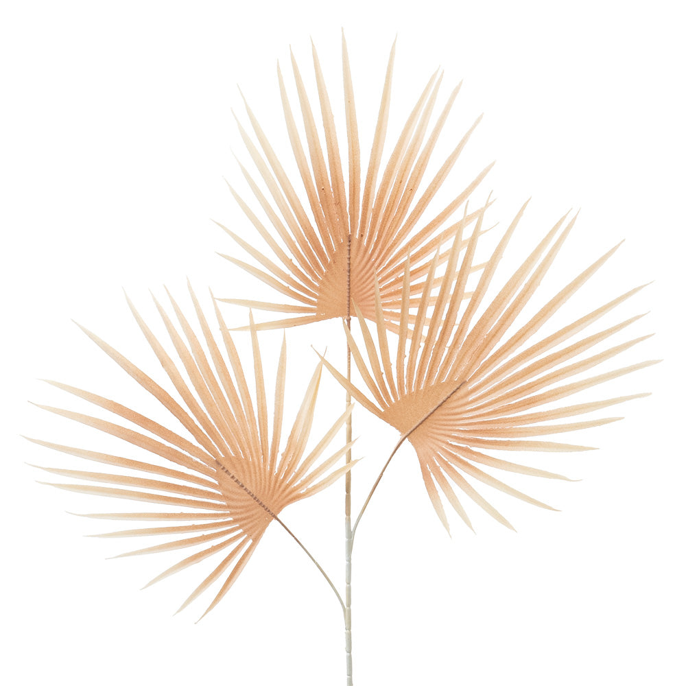 Dried Palm Spray Apricot 72cm