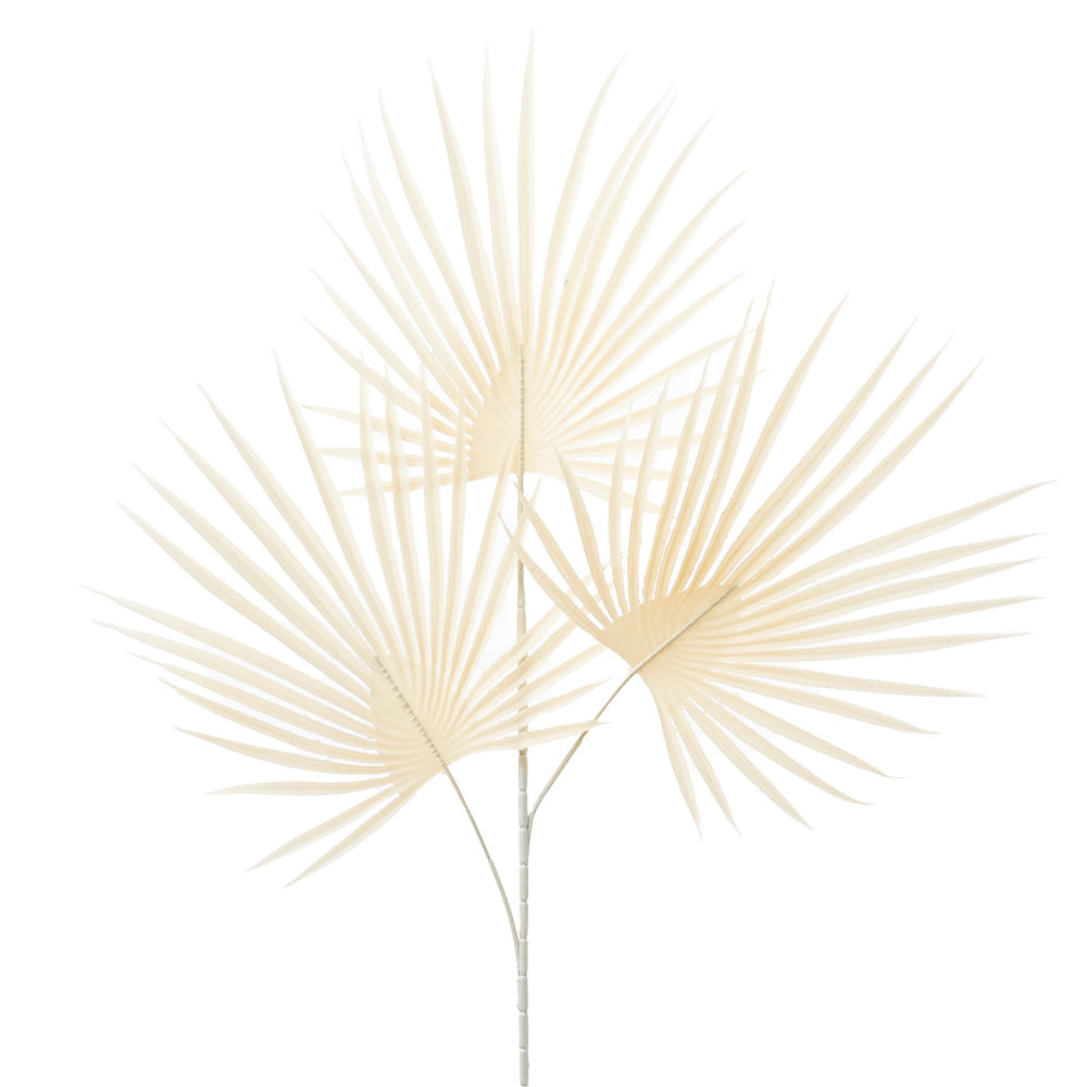 Dried Palm Spray Cream 72cm