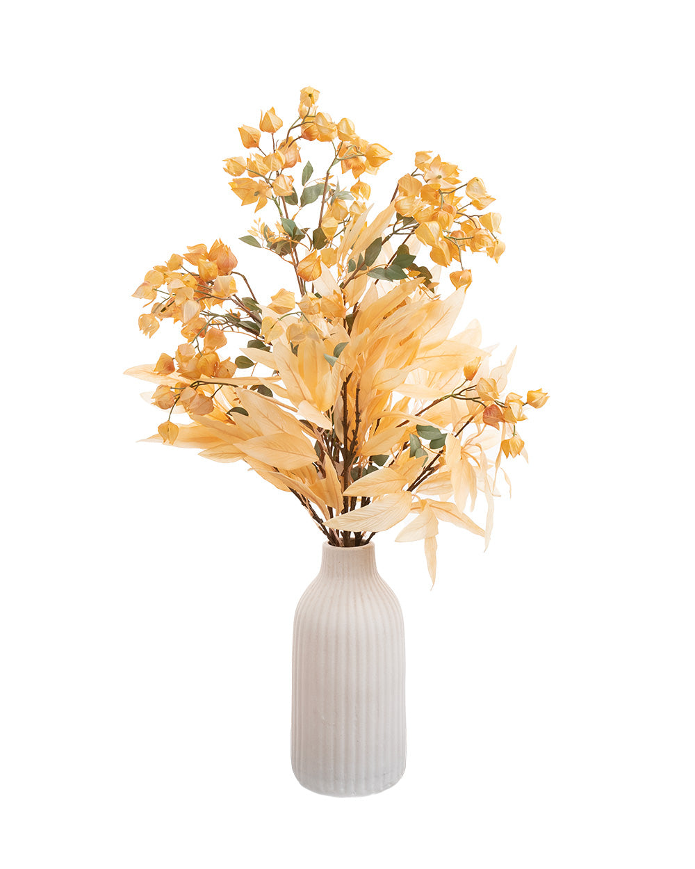 Lanceolate Leaf Bush Champagne 73cm