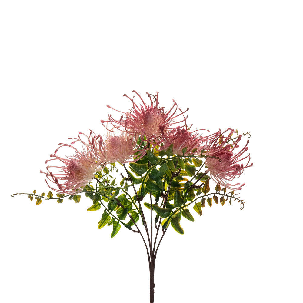 Pincushion Bush Red 33cm