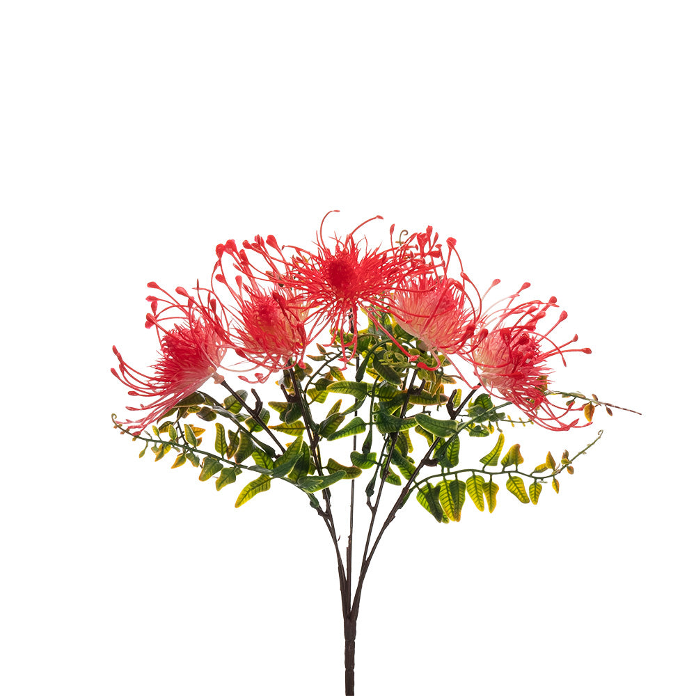 Pincushion Bush Pink 33cm