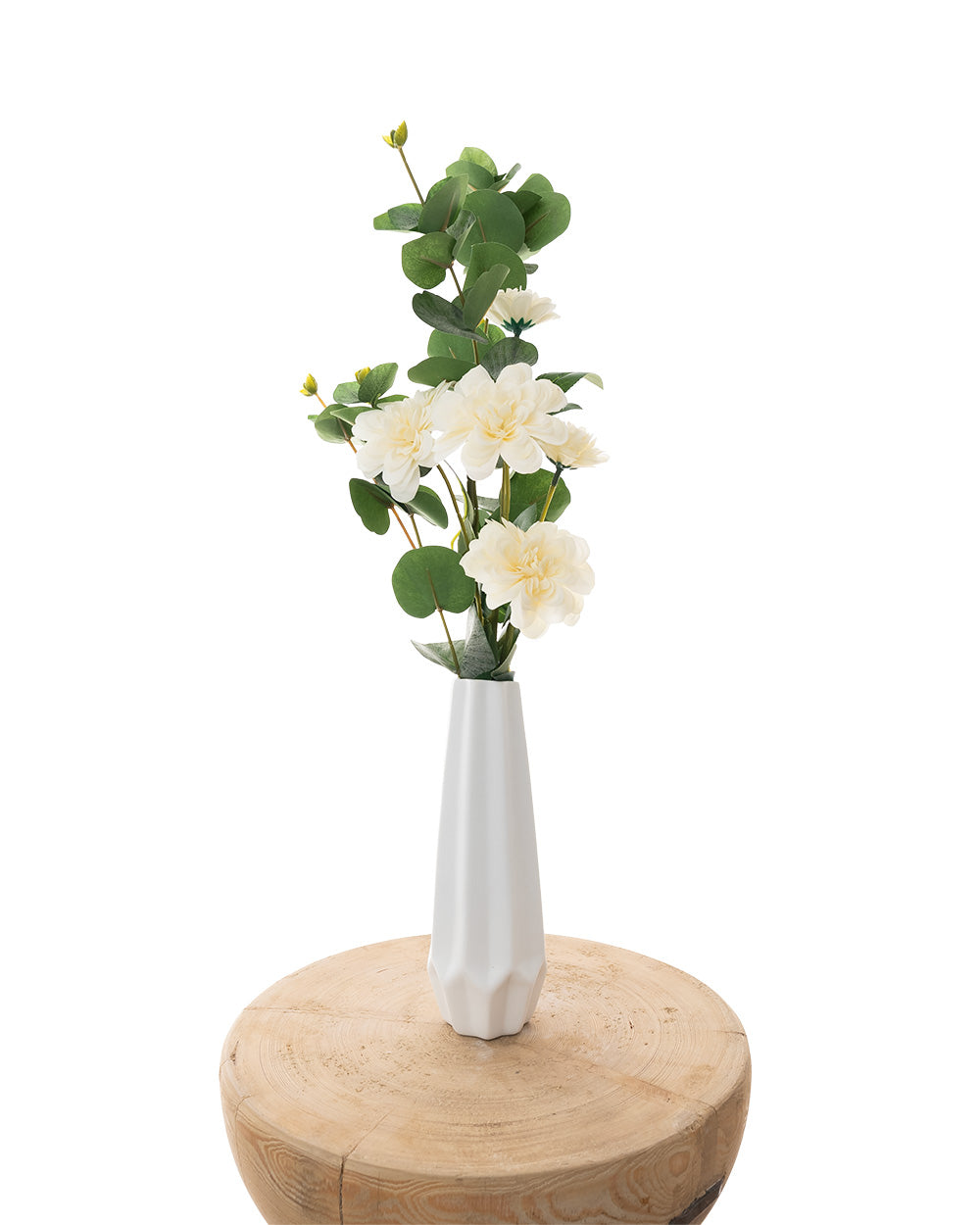 Cosmos Spray Cream 62cm