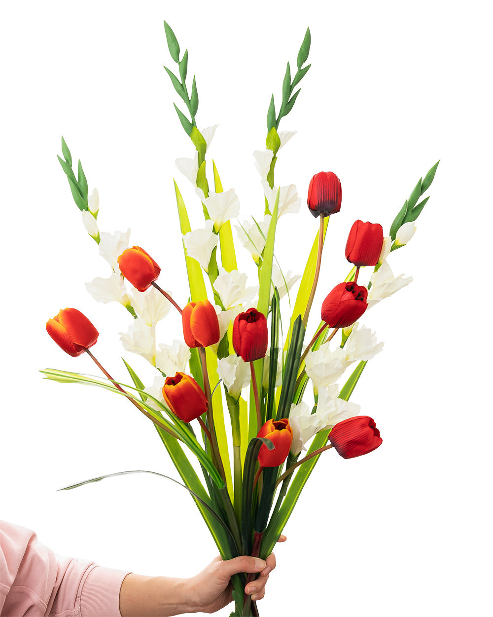 Gladiolus Stem Cream 118cm
