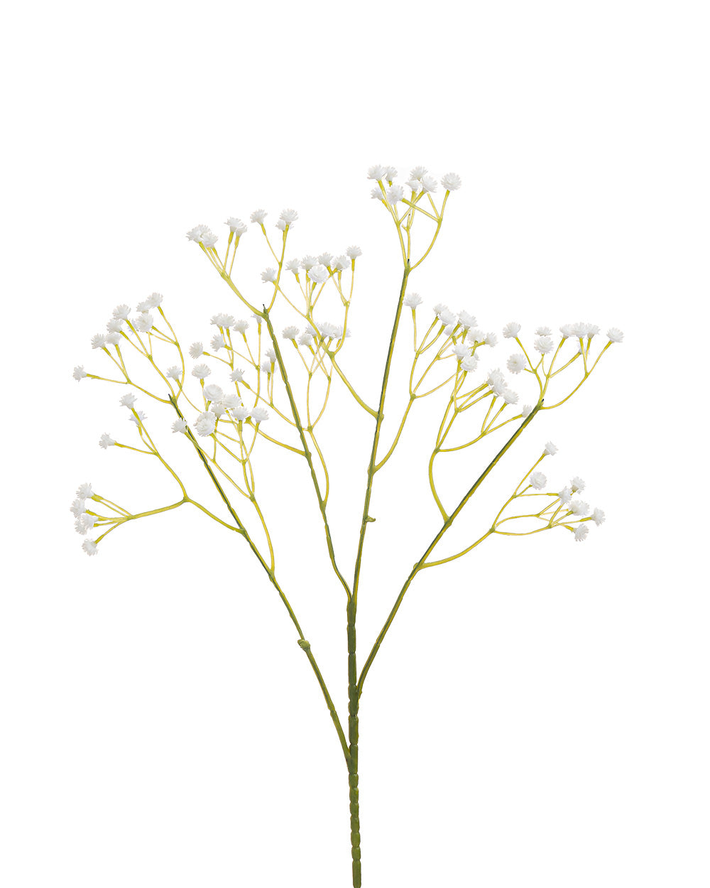 Baby's Breath Spray Cream 63cm