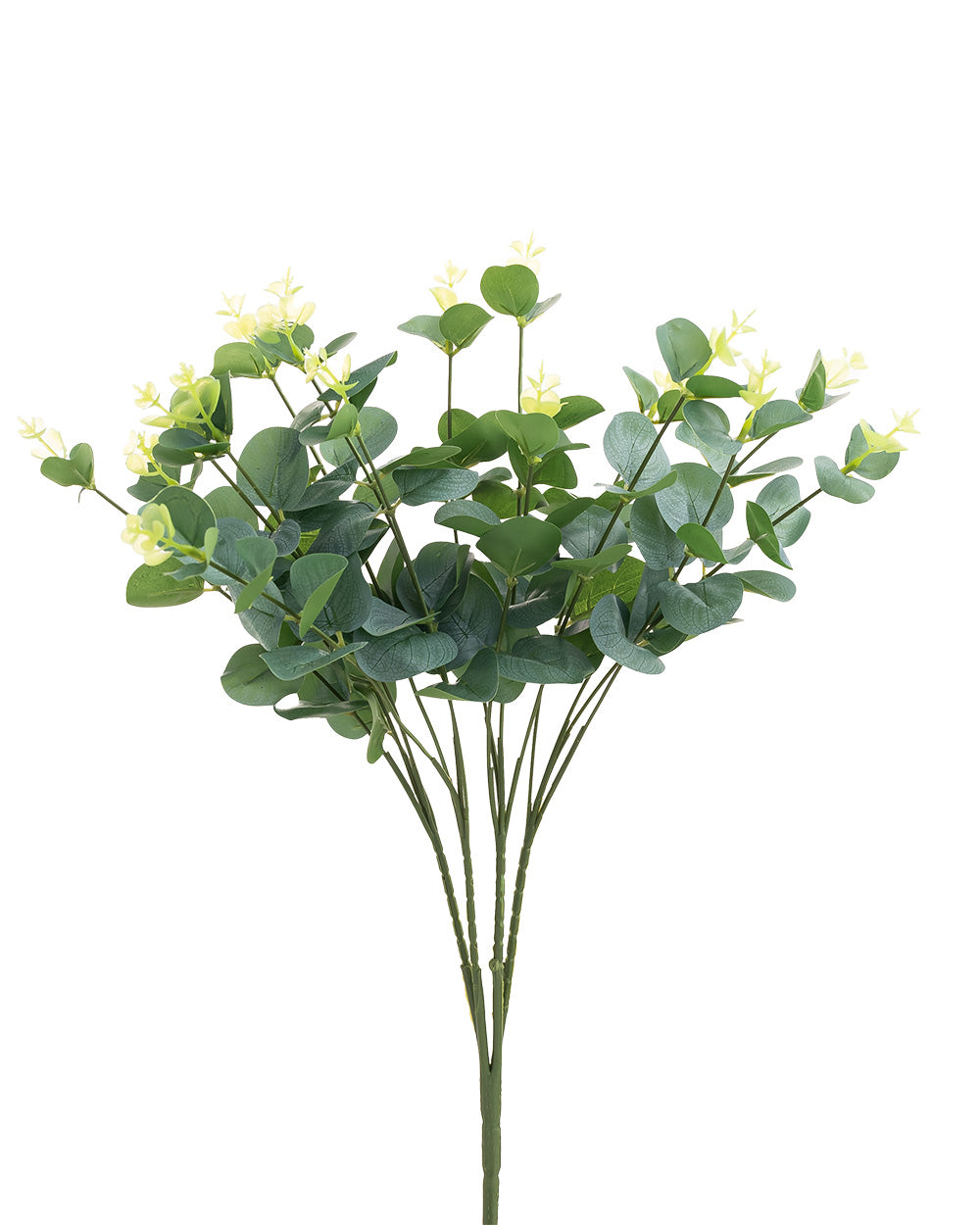 Eucalyptus Bush Green & White 50cm