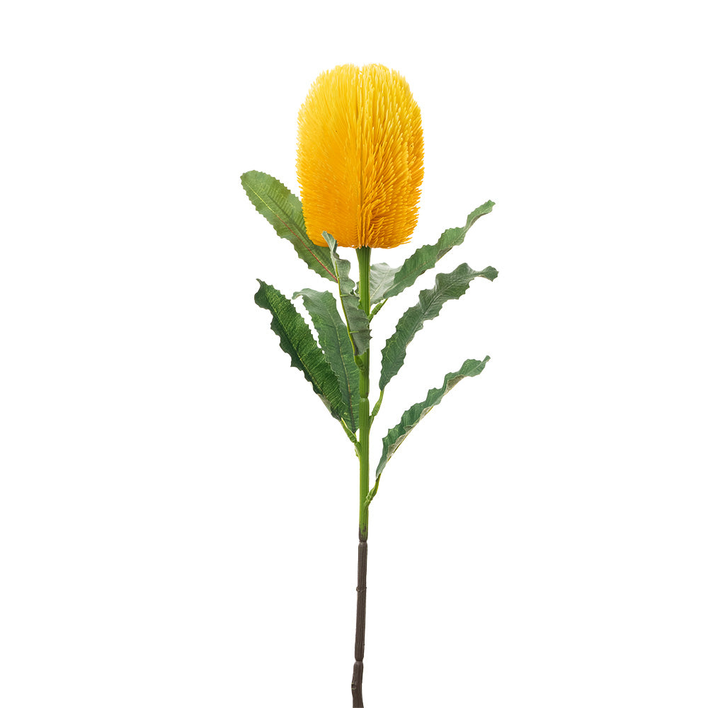 Banksia Stem Yellow 65cm