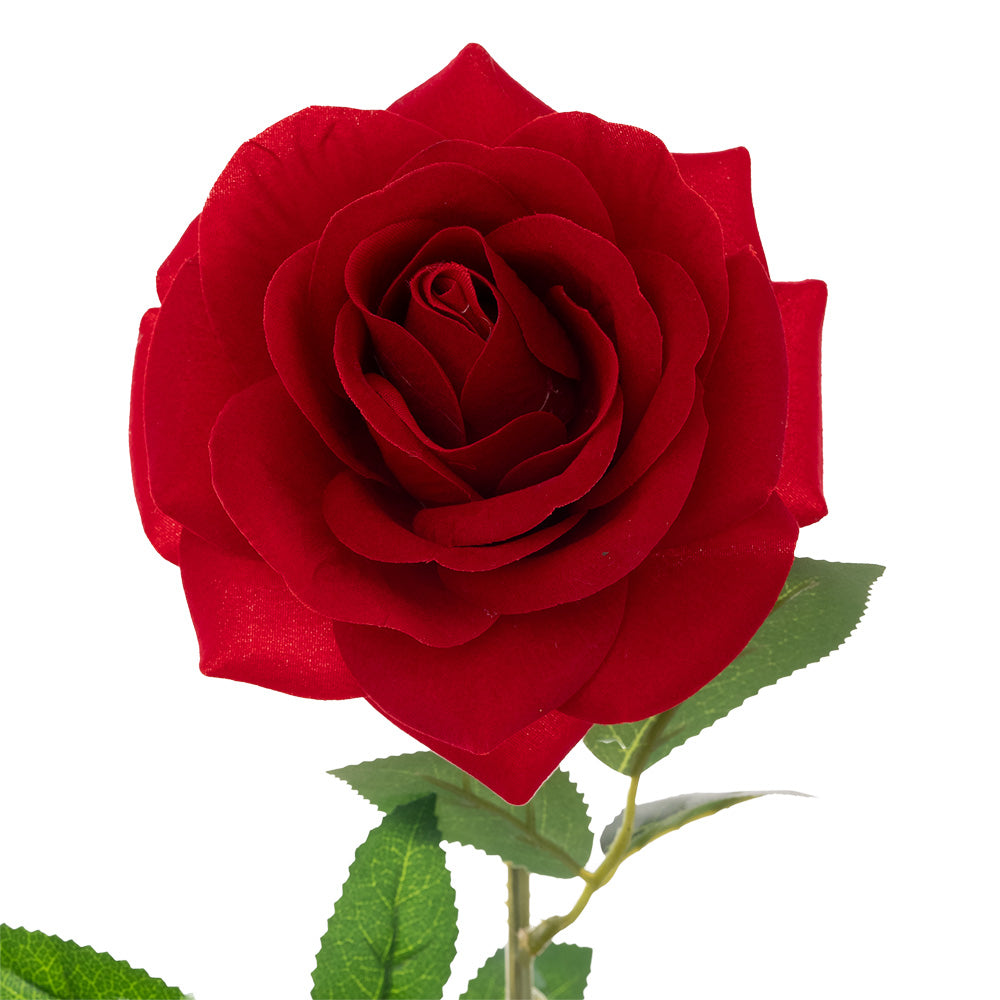Velvet Rose Stem Red 73cm