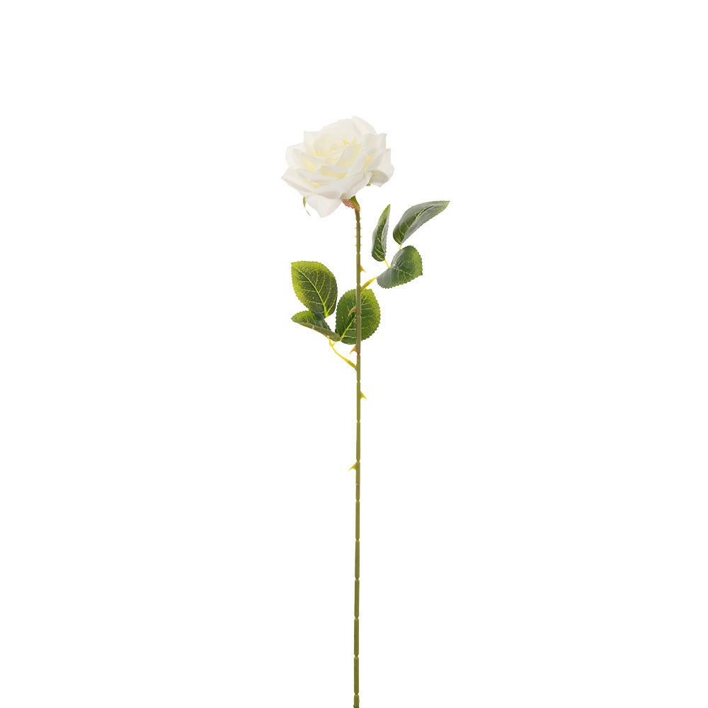 Single Stem Rose Cream 50cm