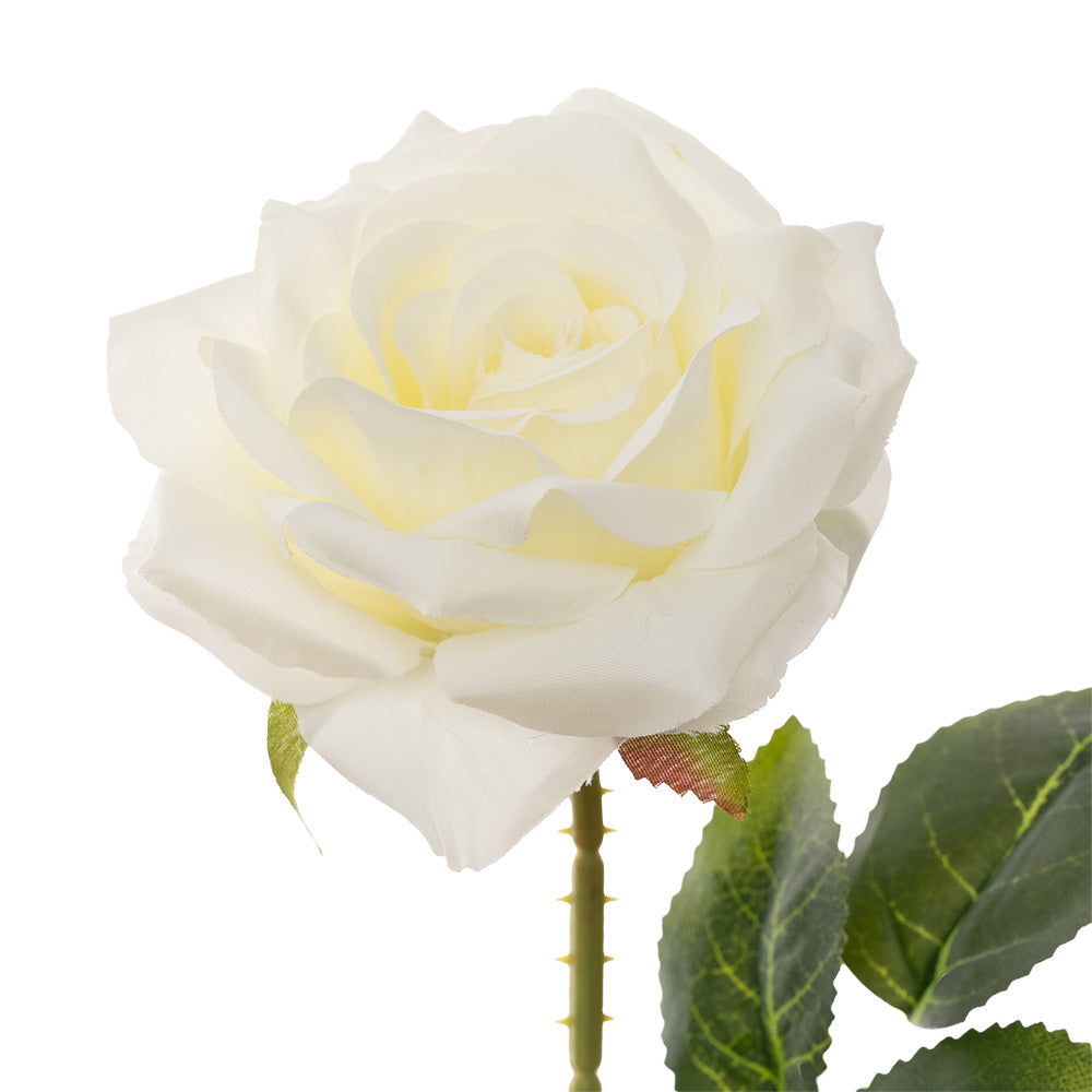Single Stem Rose Cream 50cm