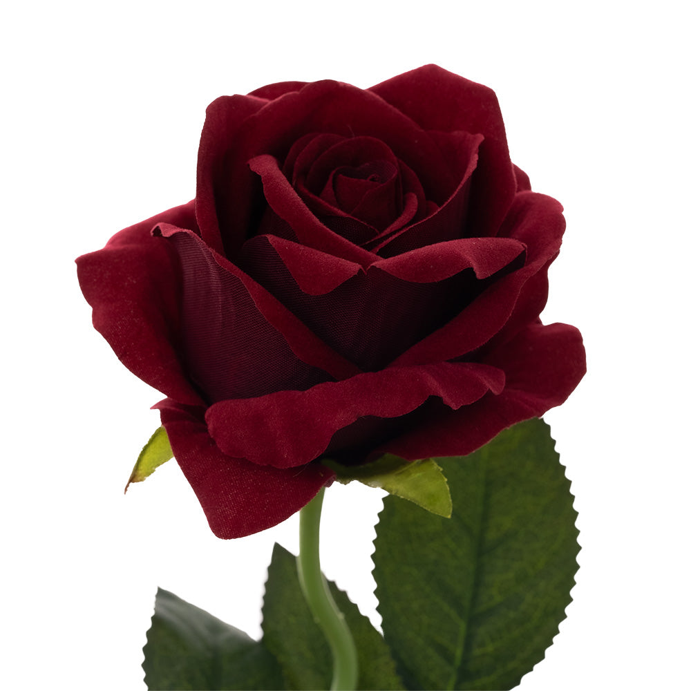 Velvet Rose Stem Burgundy 51cm