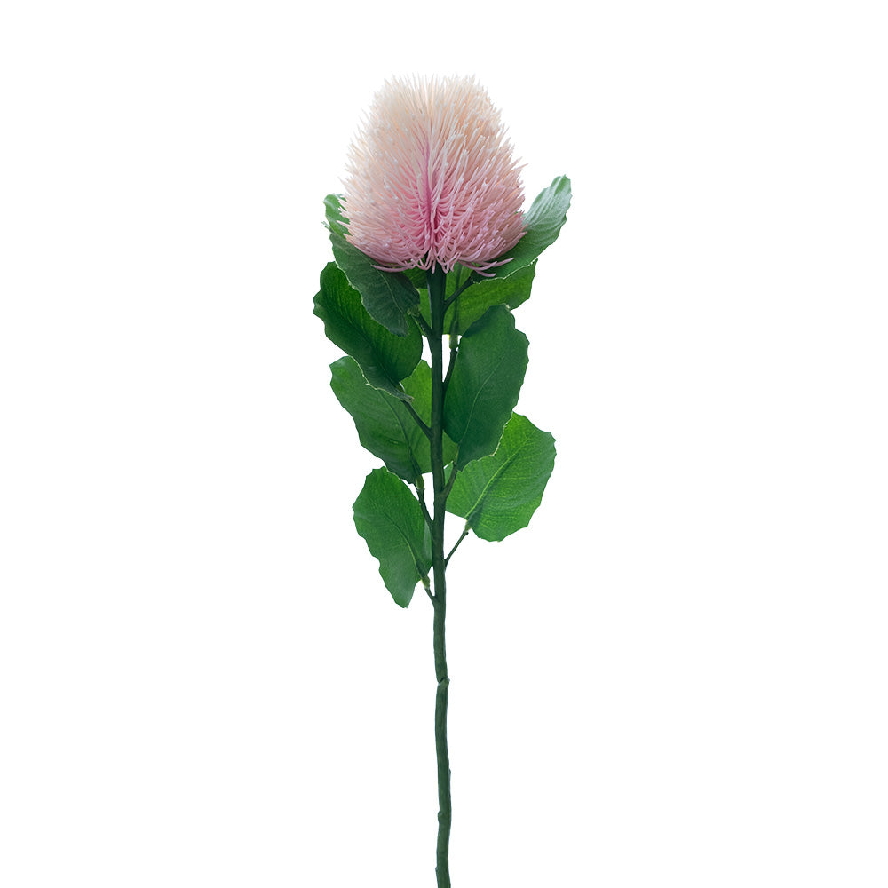 Banksia Bud Stem Light Pink 59cm