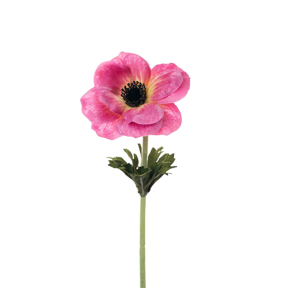 Anemone Stem Pink 53cm