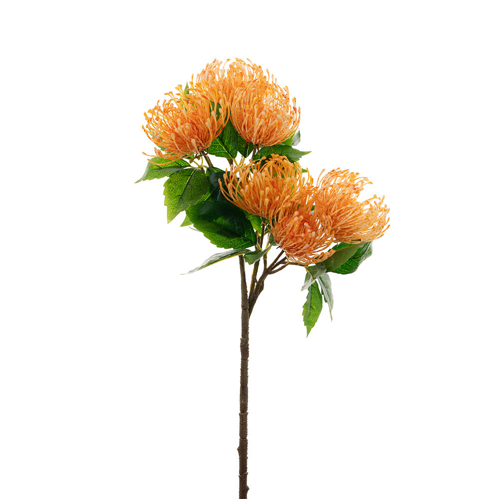 Pincushion Protea Spray Orange 52cm