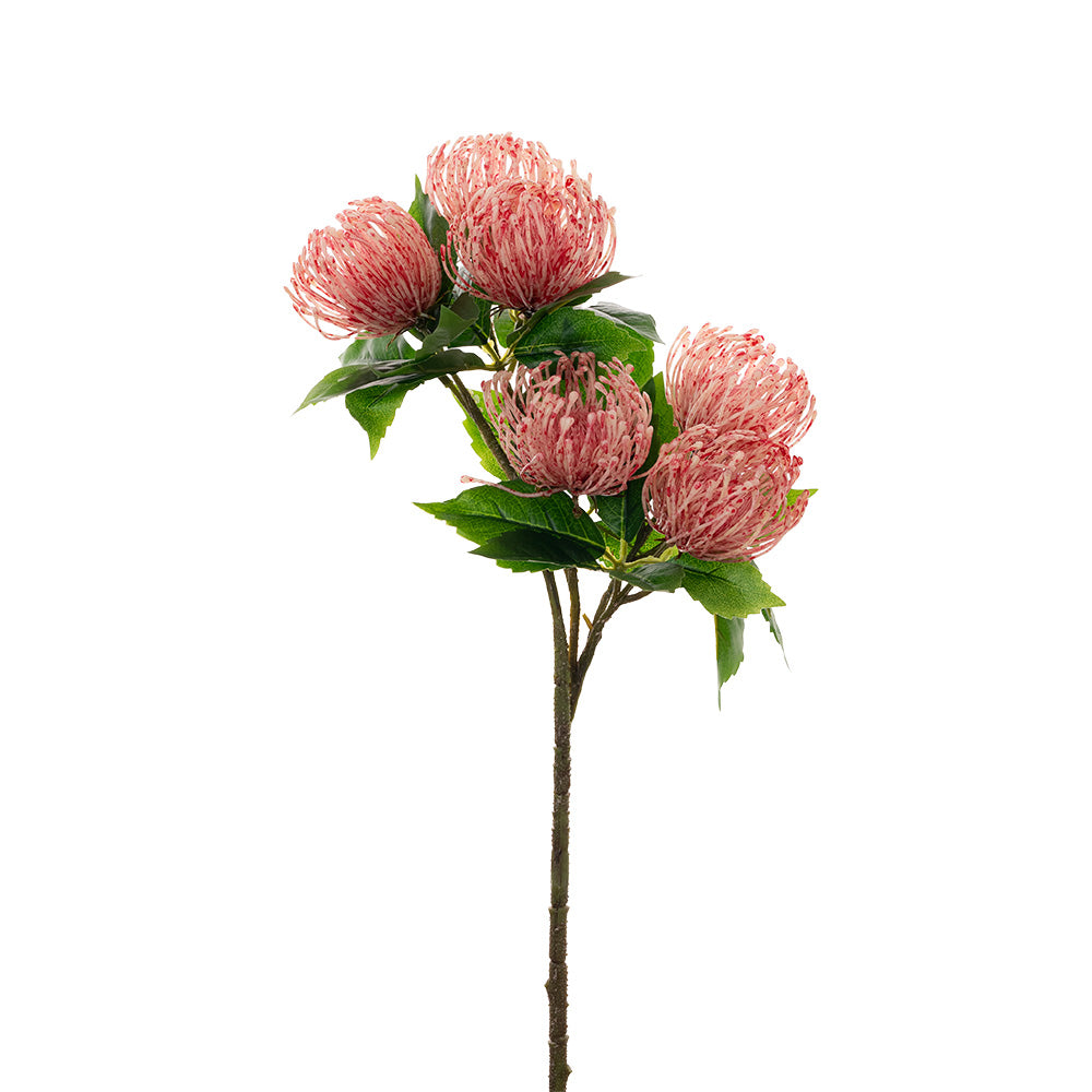 Pincushion Protea Spray Pink 52cm