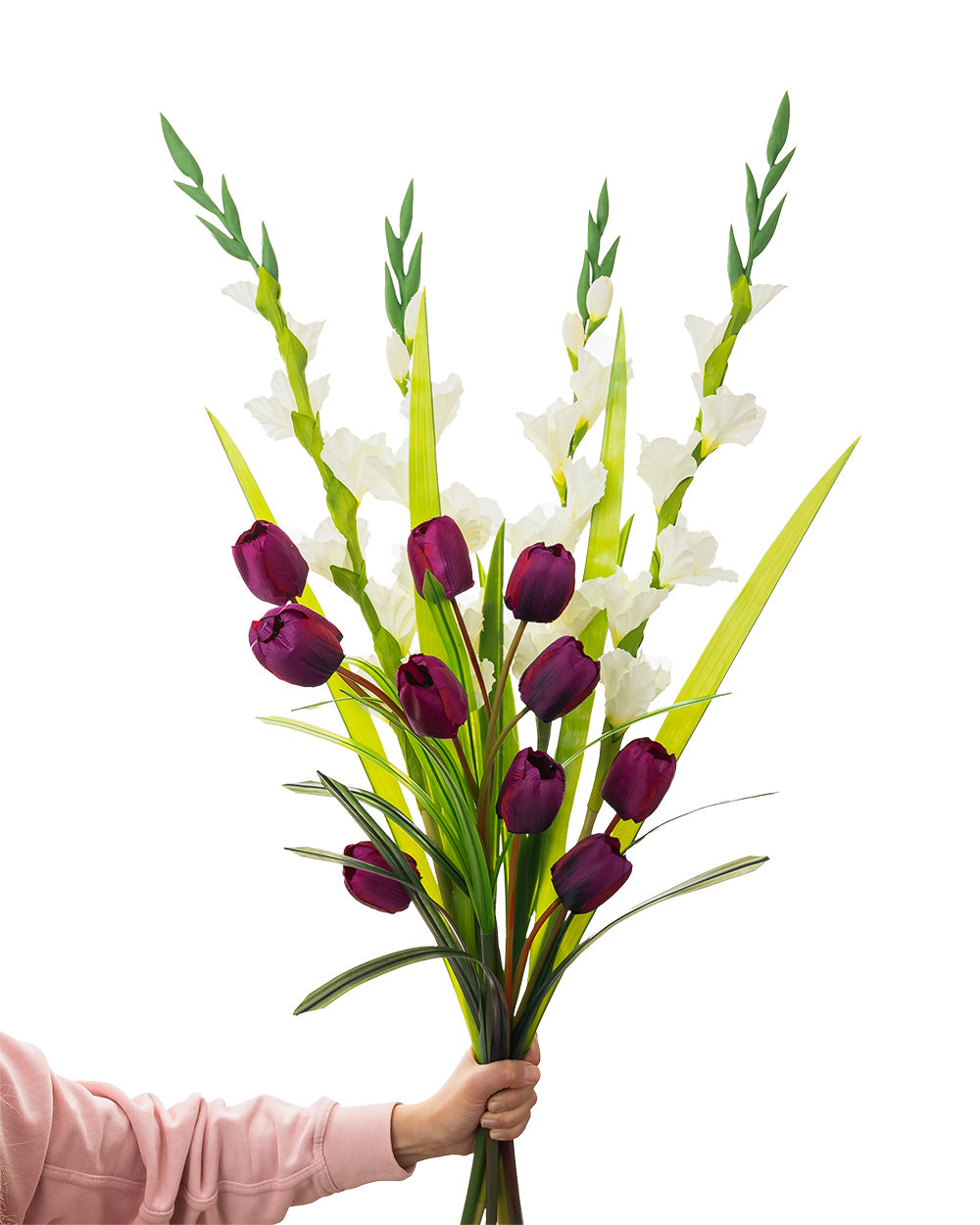Gladiolus Stem Cream 118cm
