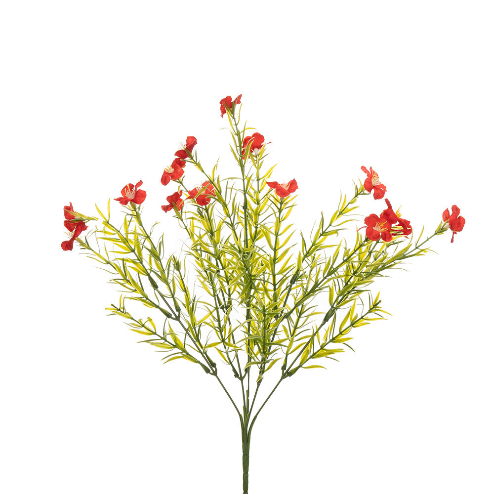Mini Daisy Bush Mini Daisy Bush Red 37cm – Star Value