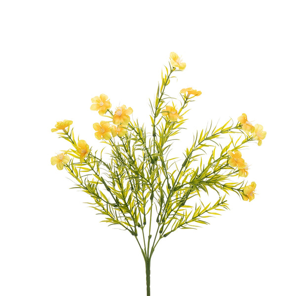 Mini Daisy Bush Mini Daisy Bush Yellow 37cm – Star Value