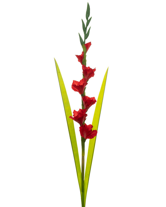 Gladiolus Stem Red 118cm