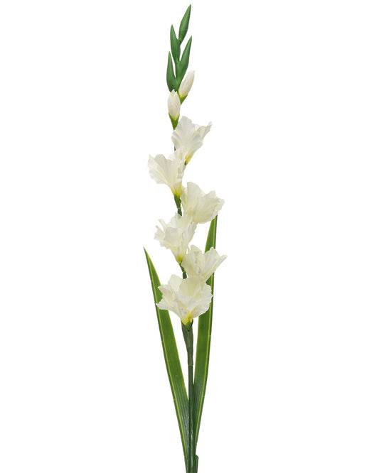Gladiolus Stem 8 Heads Cream 91CM