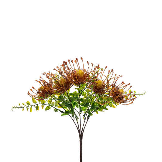 Pincushion Bush Orange 33cm