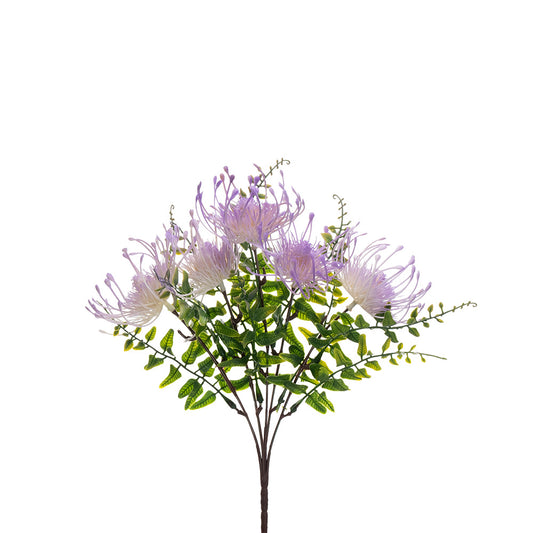 Pincushion Bush Purple 33cm