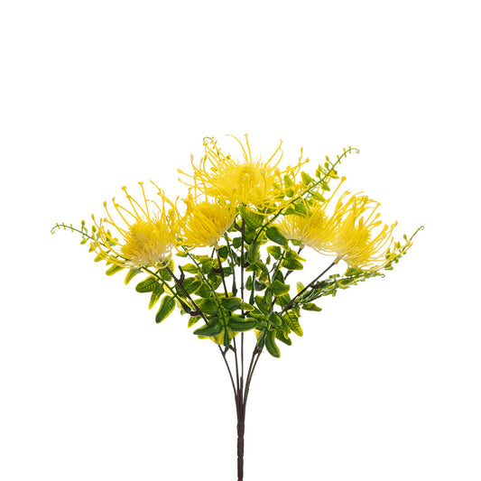 Pincushion Bush Yellow 33cm