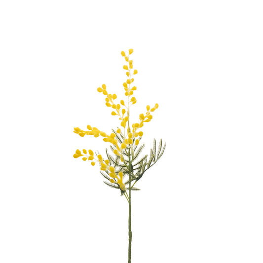 Wattle Pick Yellow 58cm