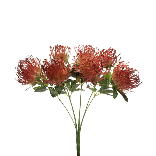 Pincushion Protea Bush Red 45cm