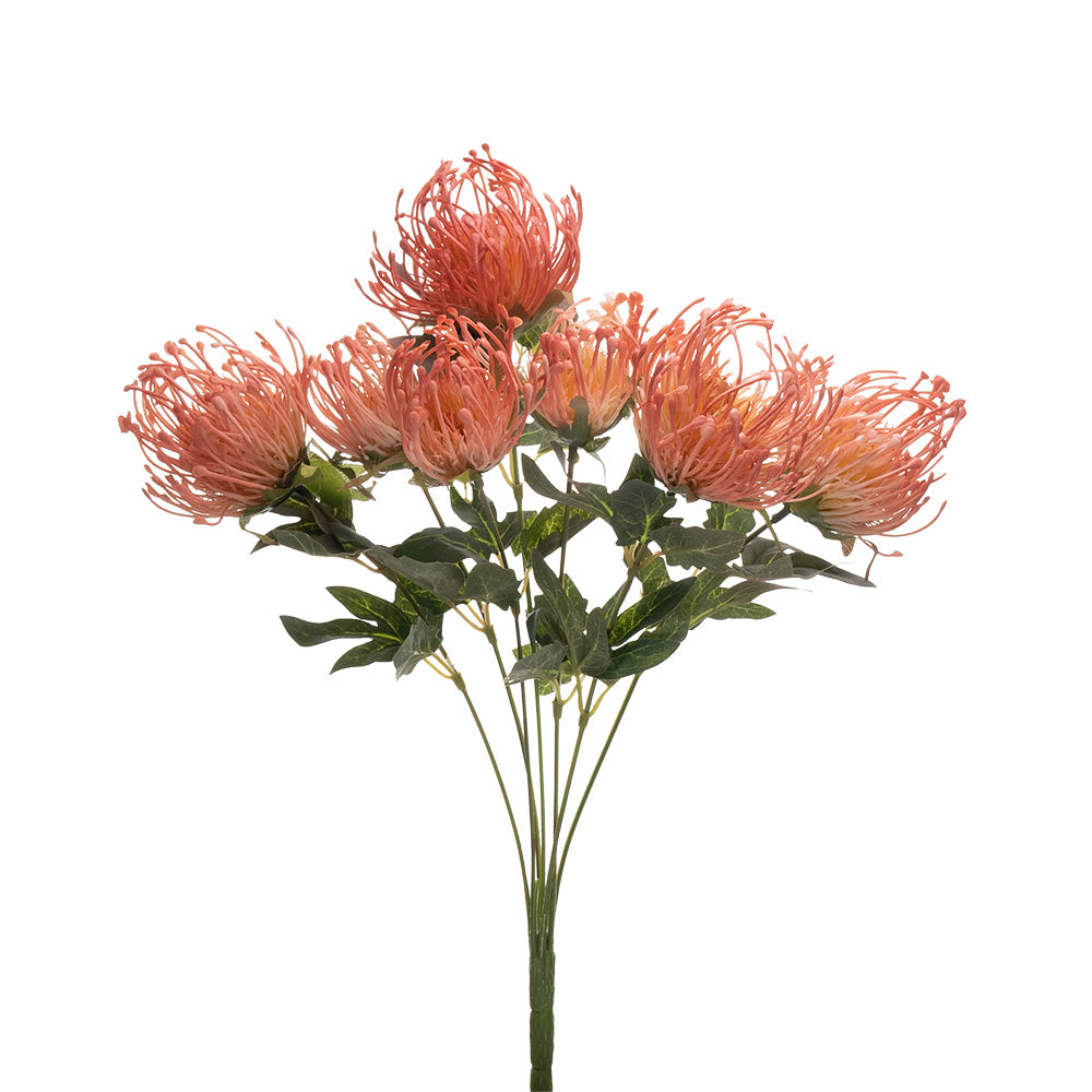 Pincushion Protea Bush Pink 45cm